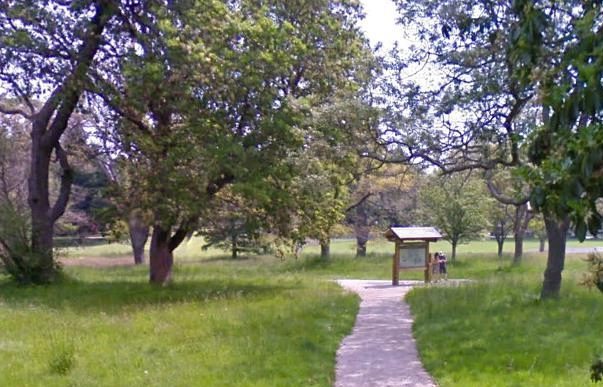Beacon Hill Park