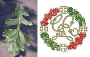 Bur Oak leaves and UELAC crest