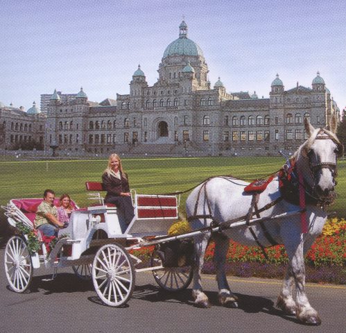 Horse Drawn Carriage